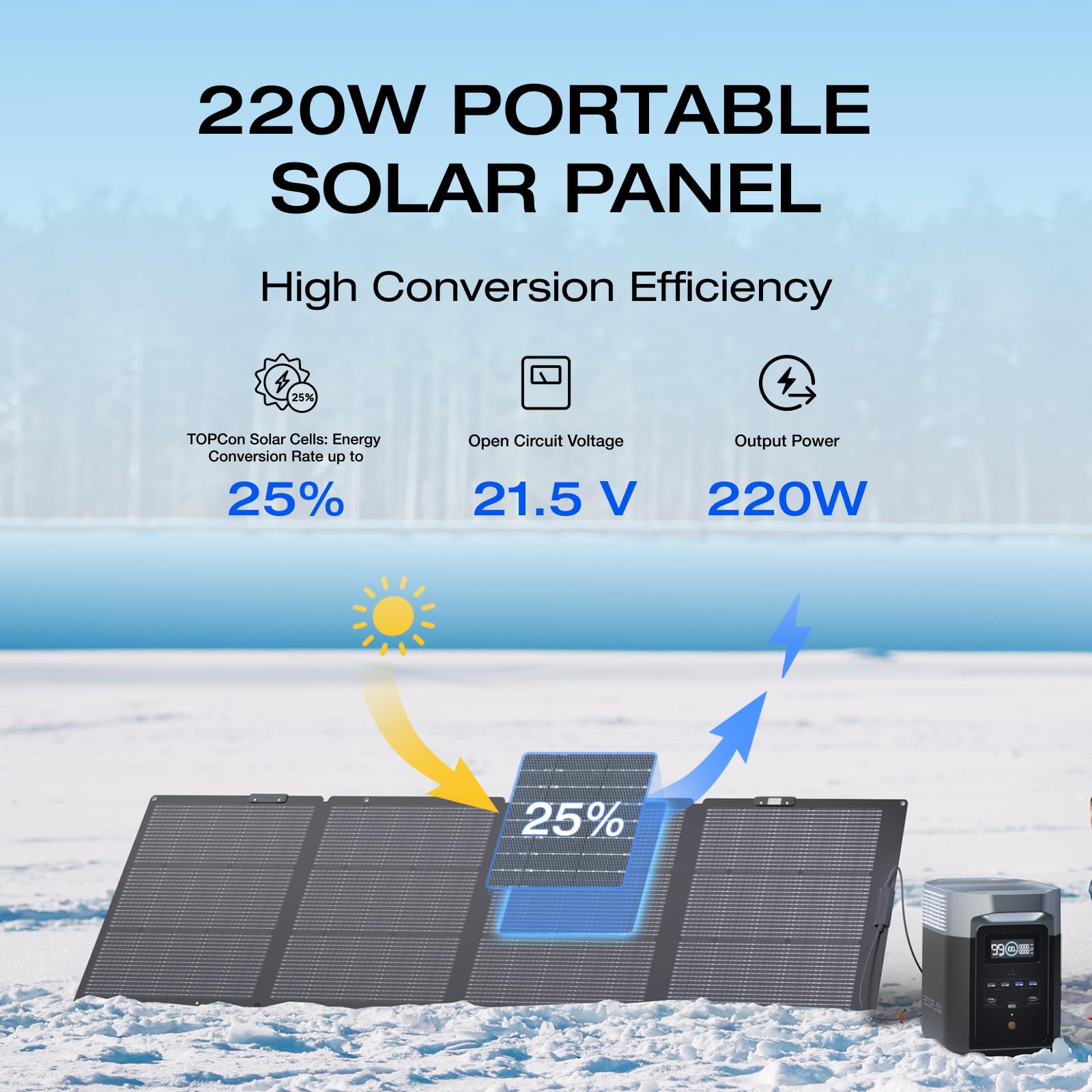 220 Watt Portable Solar Panel